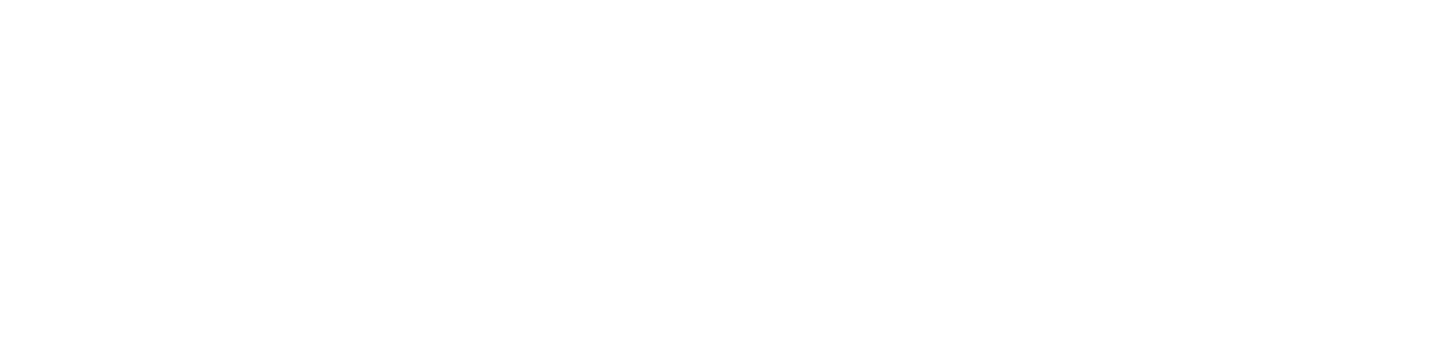 REMIKRON © 2025