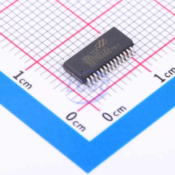 BS86D12C-28SSOP